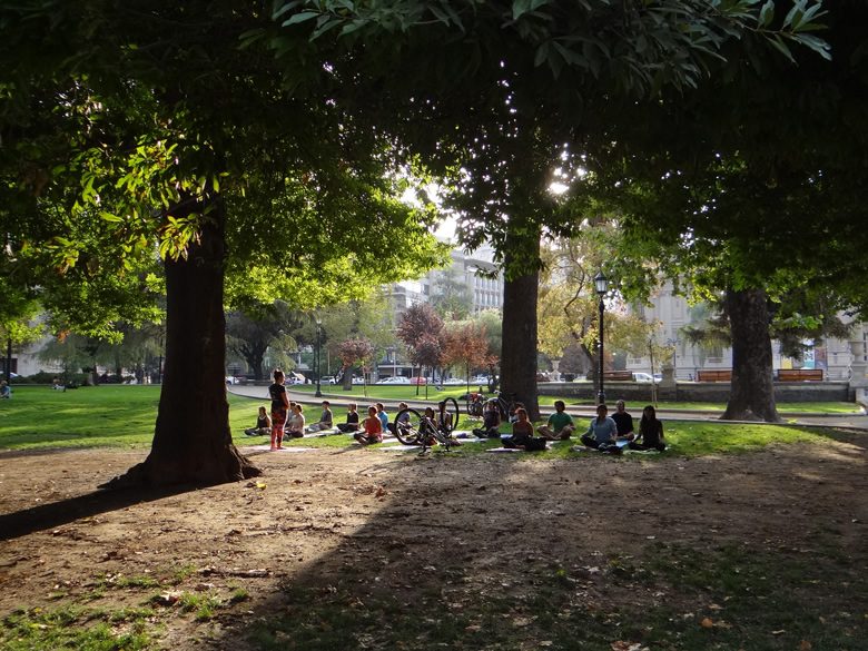 Yoga itinerante en el Parque Forestal