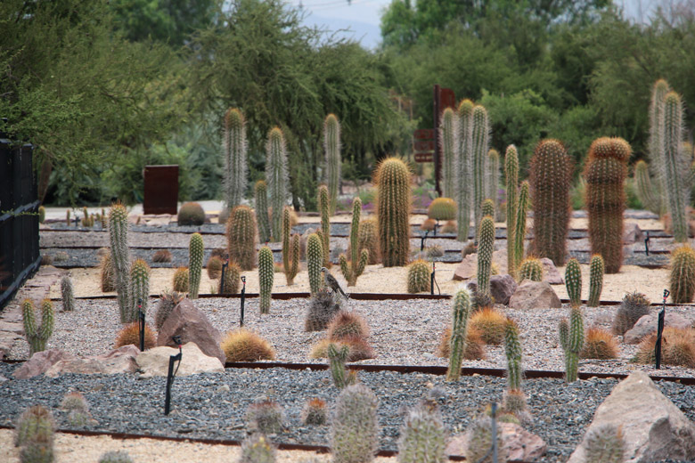 Parque Quilapilún, un oasis nativo en Colina