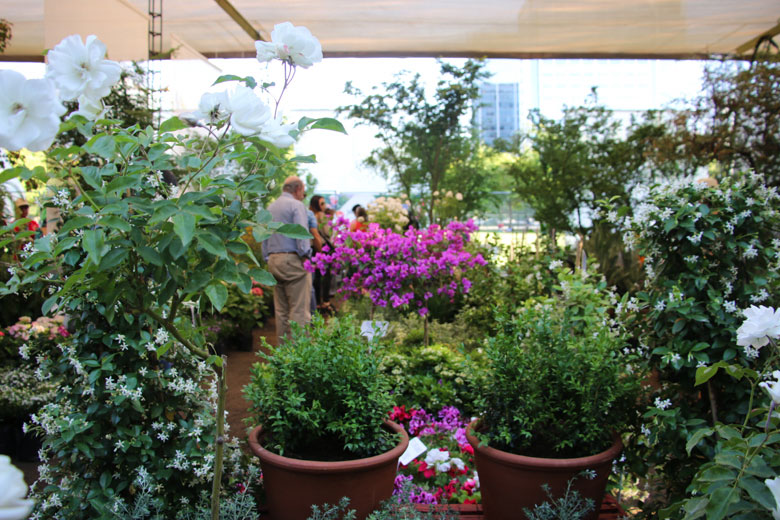 Feria Jardinera, un paraíso dentro de otro