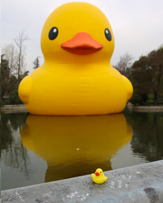 Hecho en Casa: El Pato gigante que sí quiere nadar