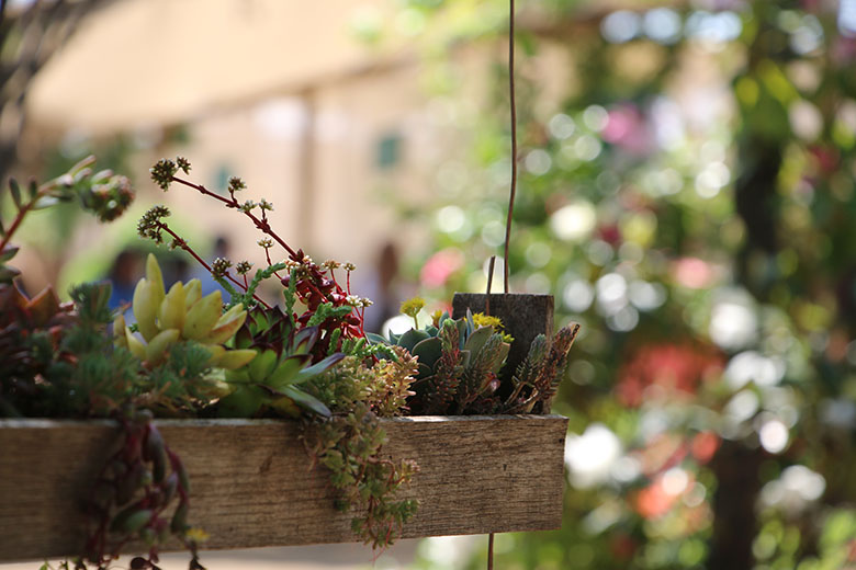 Feria Jardinera, una fiesta de flores en el Parque Araucano