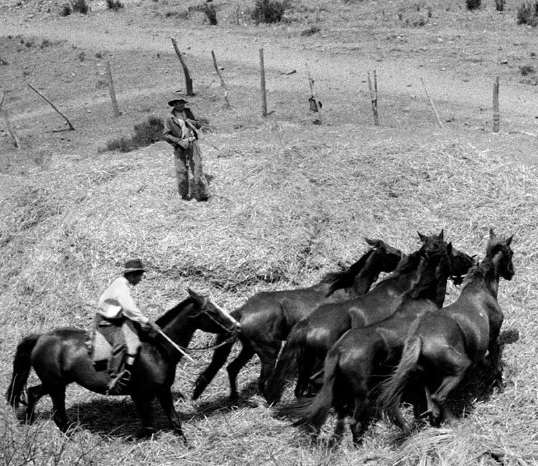 Con exposición fotográfica de Roberto Montandon se inaugura Galería Suizspacio