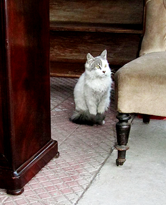 Tesoros para reciclar