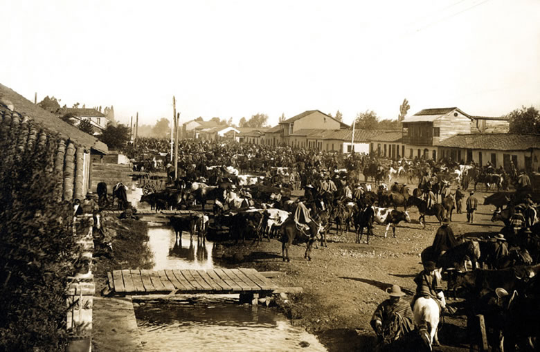 18FeriadeChillan1906enterreno