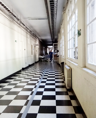 Jardines que inspiran en el Hospital del Salvador