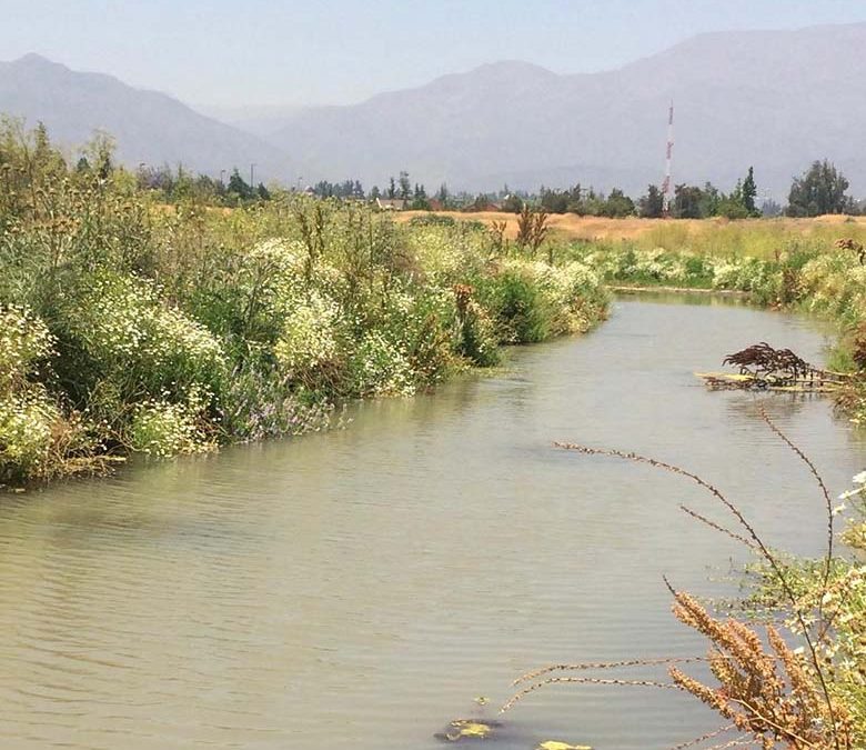 Humedal Los Trapenses ¿Cómo pasó de ser un ecosistema a un terreno relleno de tierra?