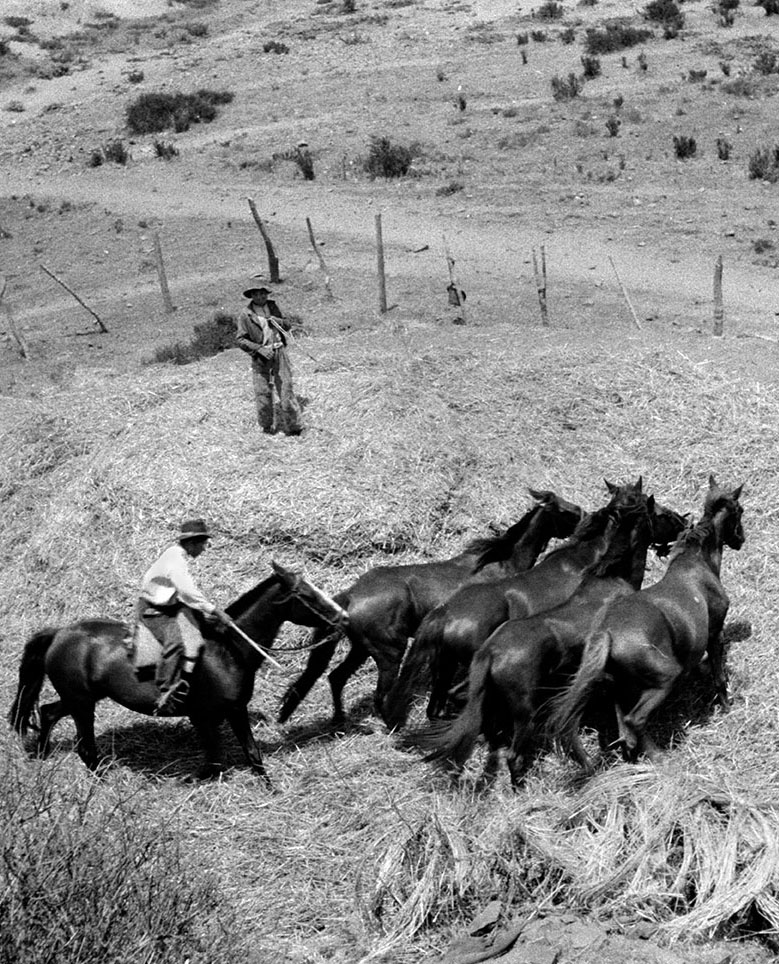 Con exposición fotográfica de Roberto Montandon se inaugura Galería Suizspacio