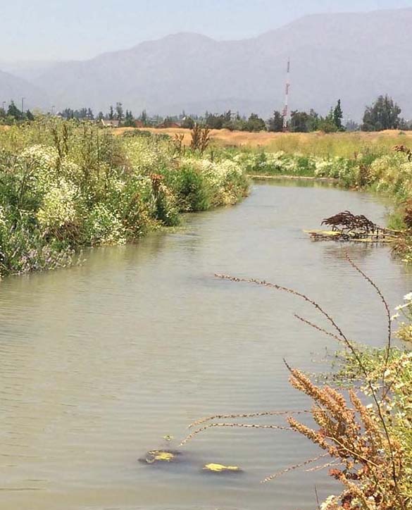 Ministerio de Medio Ambiente reconoce Humedal Los Trapenses como humedal urbano