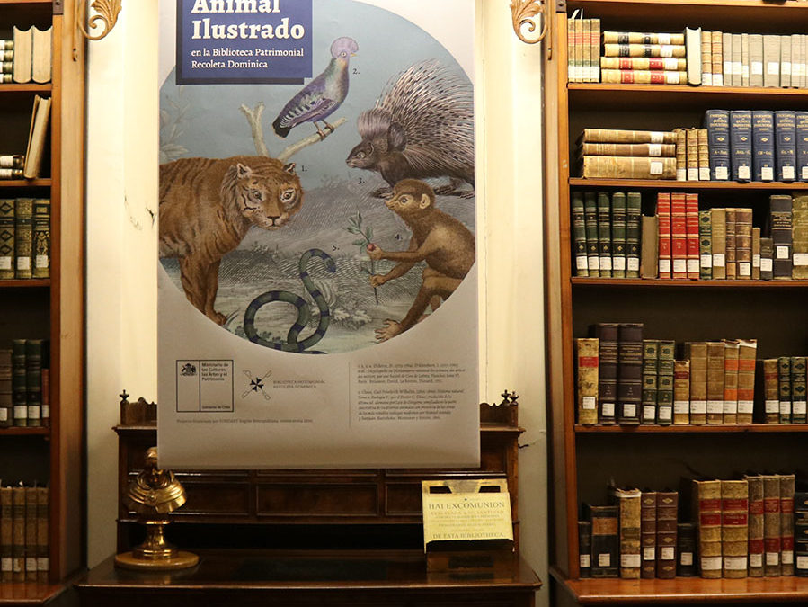 Ilustraciones de animales y seres fantásticos en la Biblioteca Patrimonial Recoleta Dominica