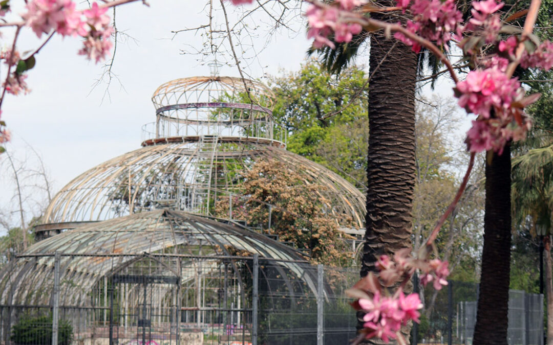 Municipalidad de Santiago prepara licitación para recuperar Invernadero del Parque Quinta Normal