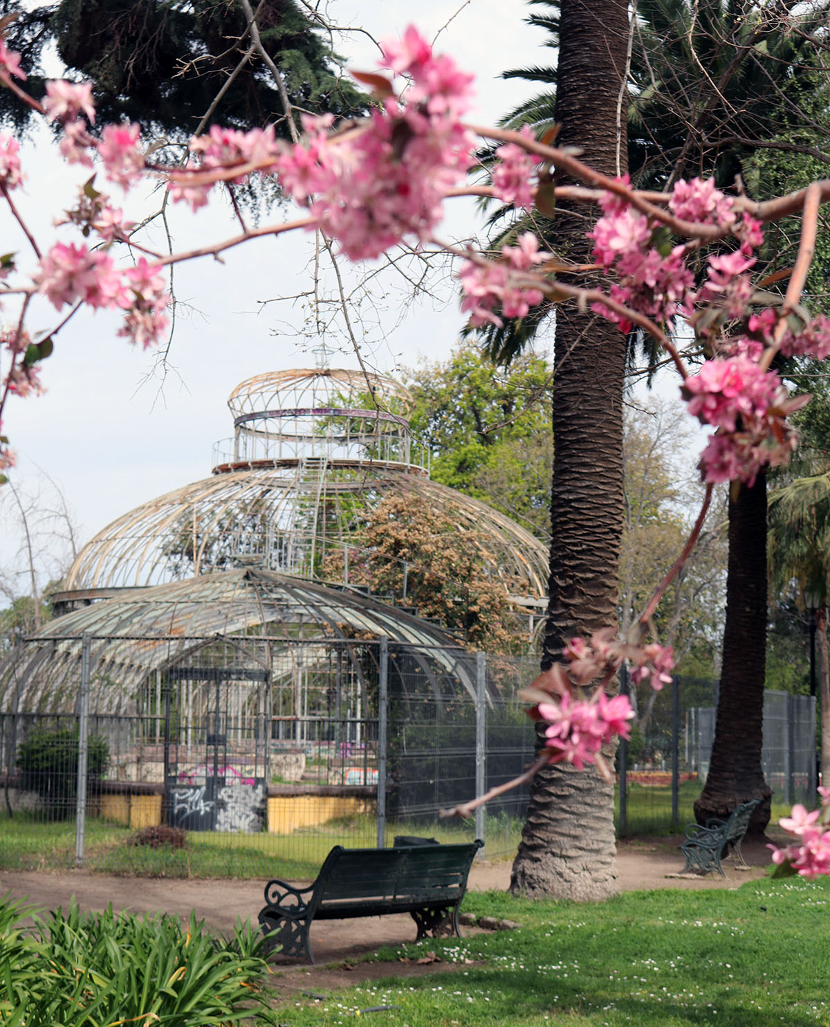 Municipalidad de Santiago prepara licitación para recuperar Invernadero del Parque Quinta Normal